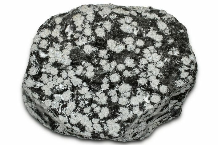 Snowflake Obsidian Section - Utah #327116